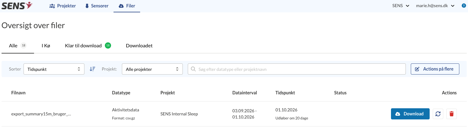 Oversigt over filer med en eksporteret fil klar til download